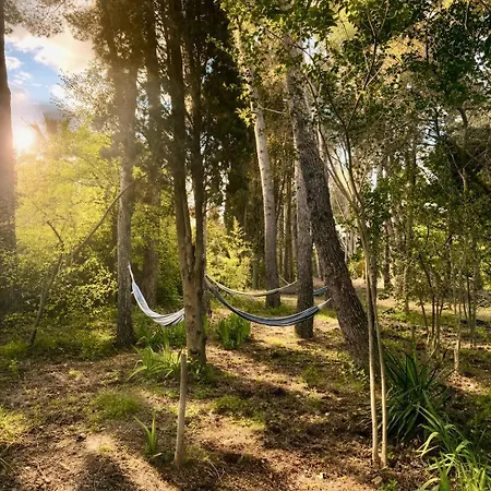 Parenthese Calme Et Nature A Homestay szállás Narbonne